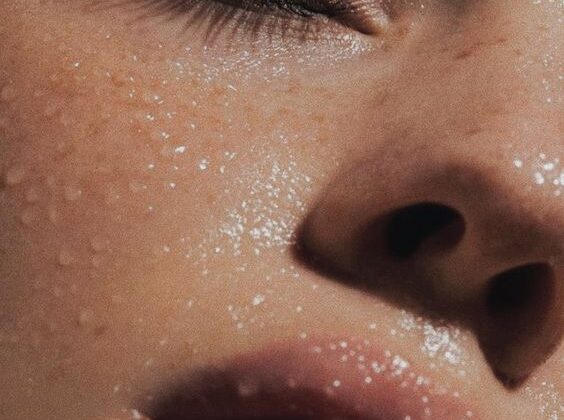 lIP-PALM