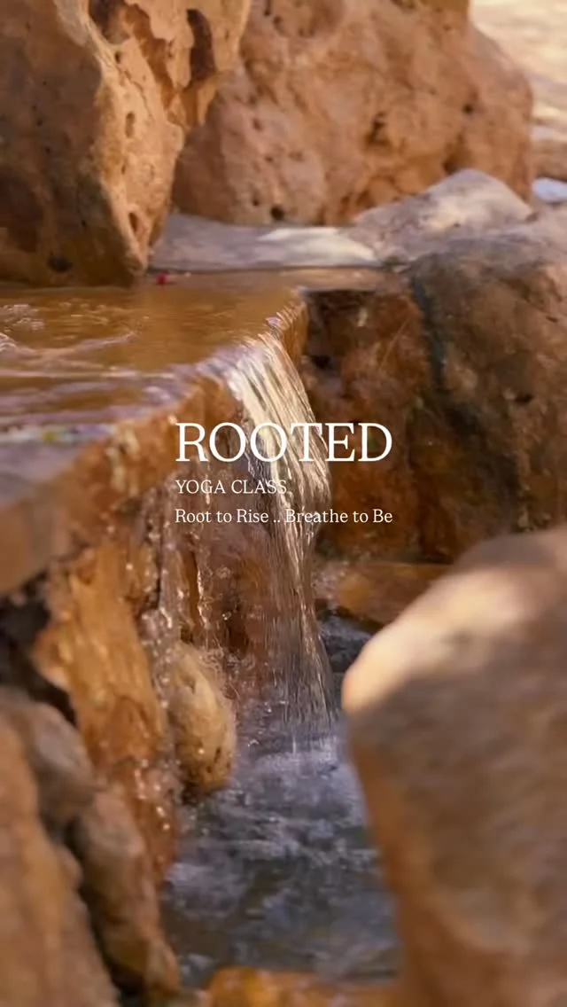 أهلا صديقة Ray & Deema🤍
اشتقنا نشوفك من جديد!
عندنا تجربة يوغا مختلفة 
ROOTED
السبت الجاي — مساحة هدوء وتوازن وسط كل الزحمة ✨

بتكون تجربة دافئة ومليانة طاقة حلوة مثل دايم 🤎

Come enjoy the thoughtful giveaways from Ray ✨,
and refreshing sips from @infuse.sa 🧋🍵

المقاعد محدودة!
We would love to see you on the mat 🧘🏻‍♀️
