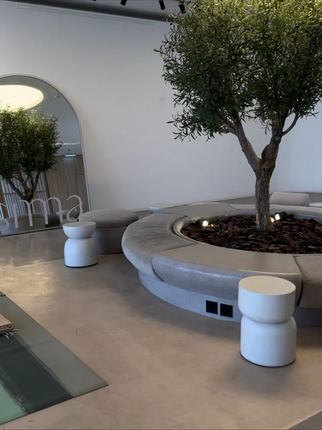 ROOTED YOGA EVENT #Recap 
🤎✨🧘🏻‍♀️